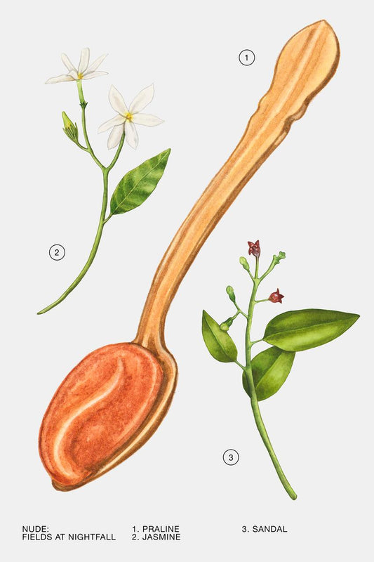 FIELDS AT NIGHTFALL EDP 100 ML