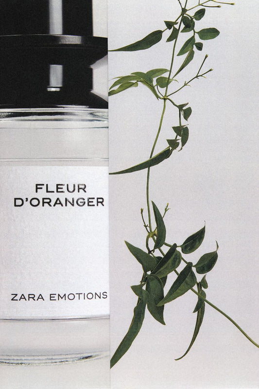ZARA FLEUR D'ORANGER EDP 100ML